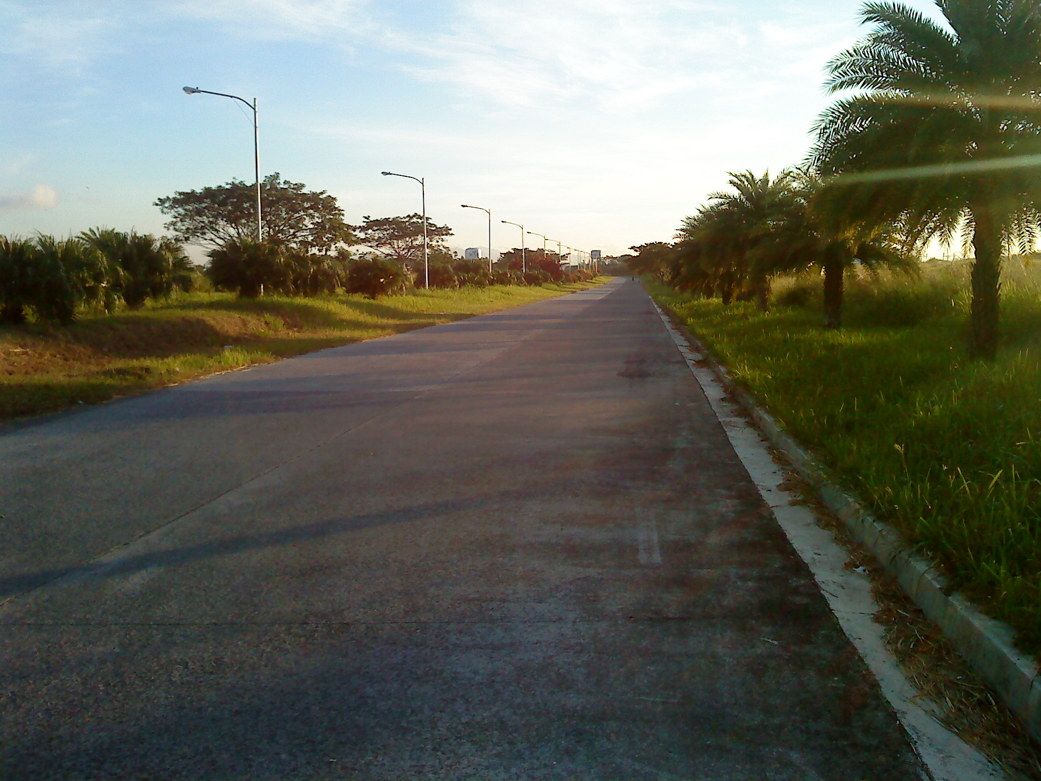 driveway to dlsu canlubang